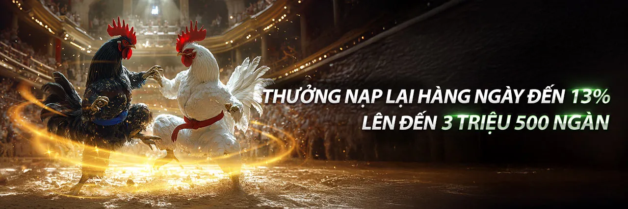 Đá Gà Trực Tuyến AW8 2026